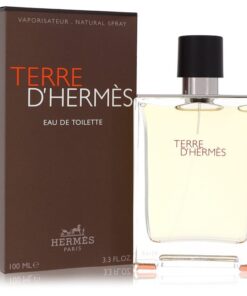 Terre D'Hermes by Hermes Eau De Toilette Spray 100 ml